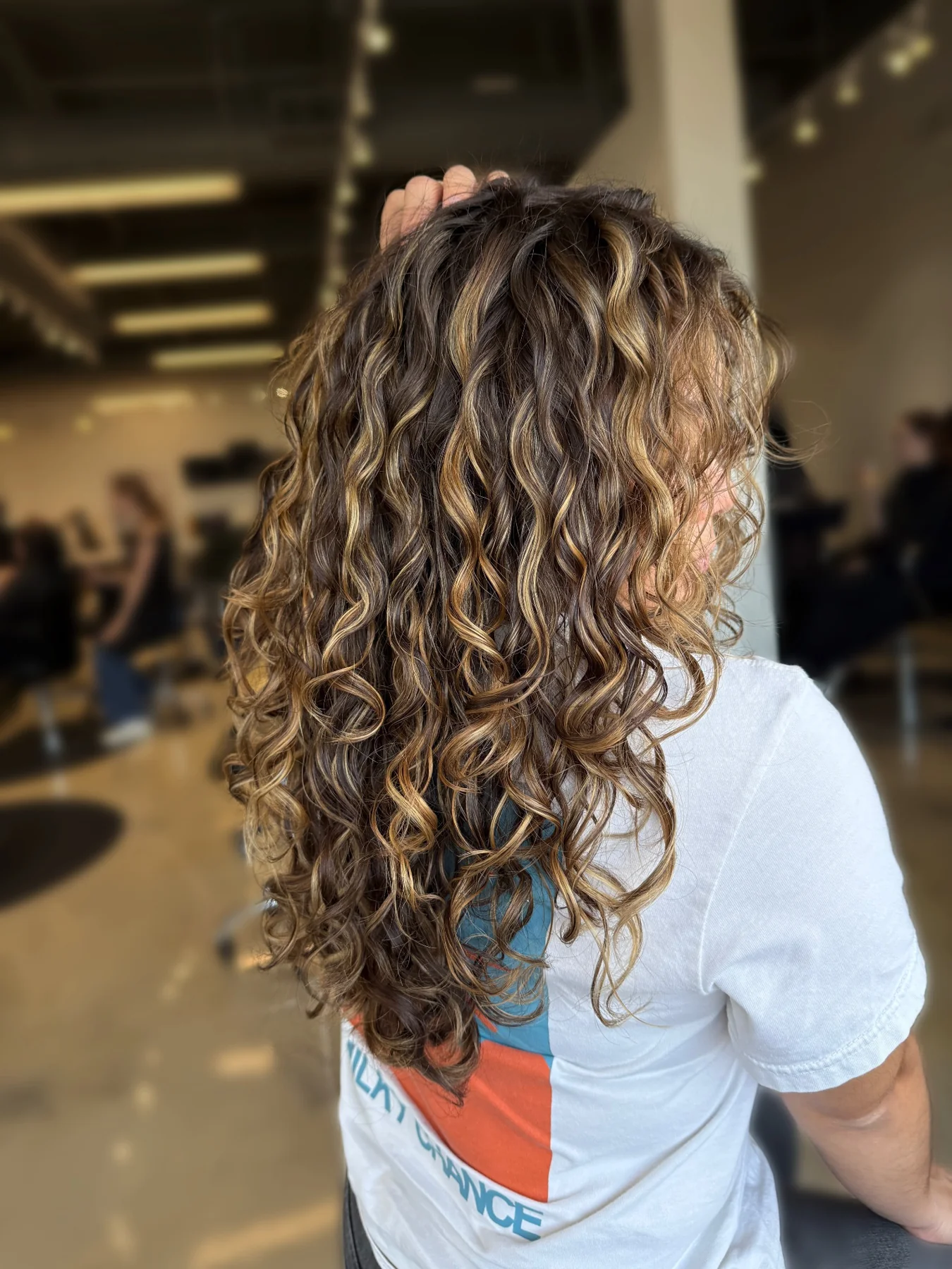 Soft highlighted curls viewed from the back